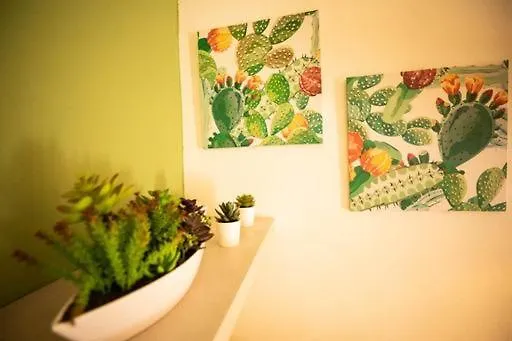 Hrdo House Apartment Syracuse